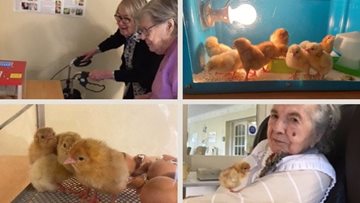 Egg-citing times at Penrith care home